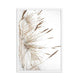 Reed Grass On the Beach Poster - oakposter