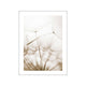 Dandelion Prints - Nature & Botanical Posters Online - oakposter.ca