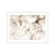 White Flowers Prints - Nature Posters Online - oakposter.ca