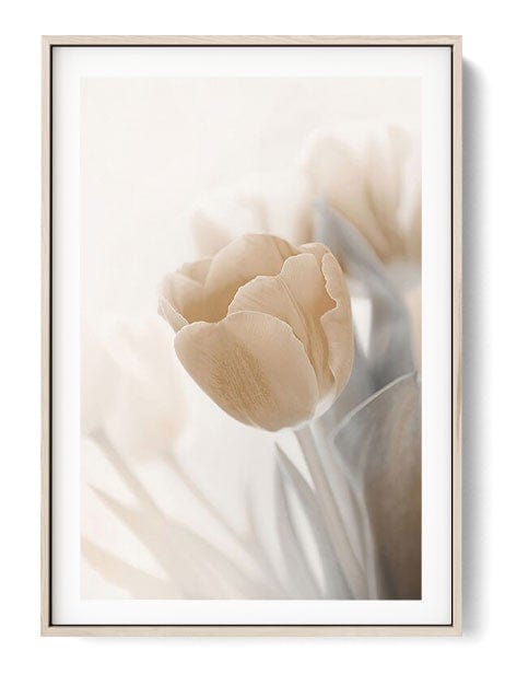 Tulips Poster - oakposter