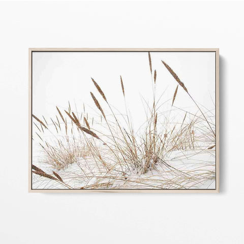 Reed Grass On the Beach Poster - oakposter