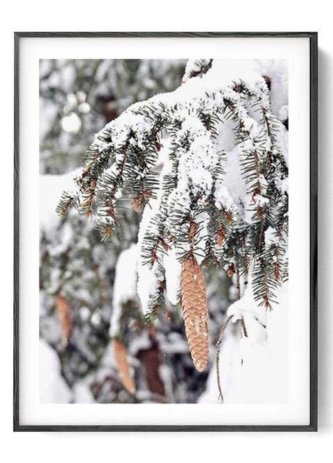 Snowy Trees  posters & prints Oak poster